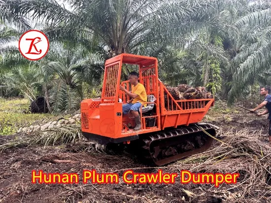 Hunan Plum Mini Rubber Tracks Crawler Transporter Dumper Carrier