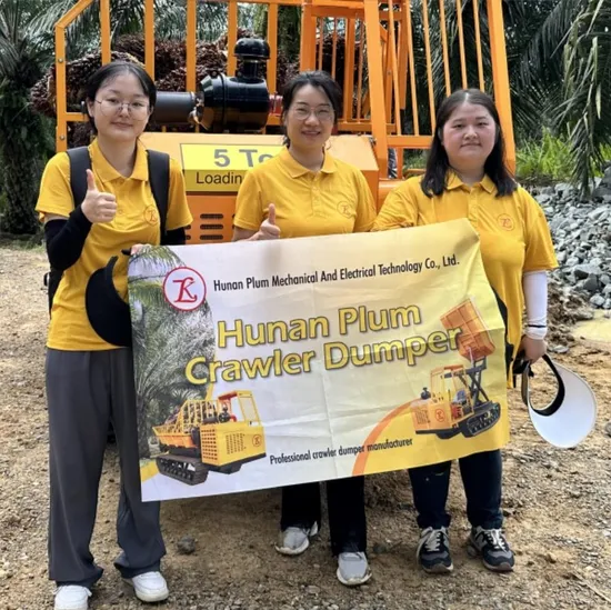 Morooka Type Hunan Plum 5 Ton Crawler Dumper Tracked Crawler Carrier