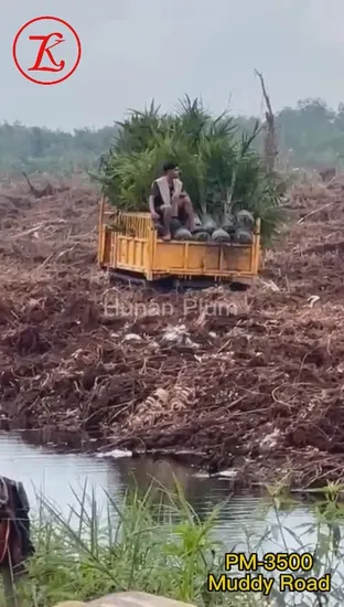 Crawler Truck Dumper 4ton Crawler Dumper Truck Crawler Carrier with High Quality