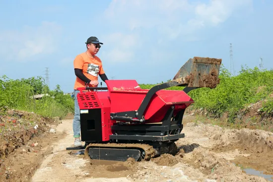 China Huayee Mini Truck Transporter Hydraulic Mini Dumper 500kg Mini Dumper Crawler Small Tracked Carrier Tractor Self