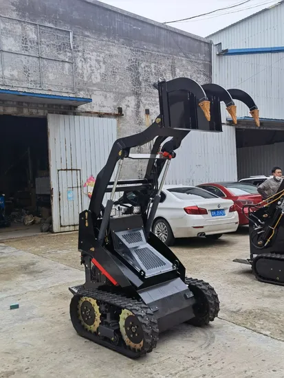 China Hottest Sale Garden Lift Dump Truck Mini Crawler Carrier 