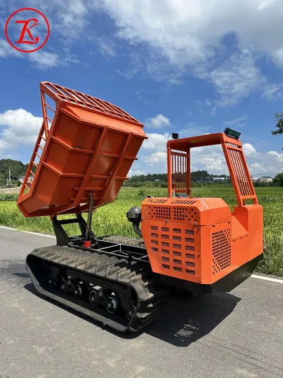 3ton Tracked Crawler Transporter Vehicle Carrier for Wetland Hunan Plum 