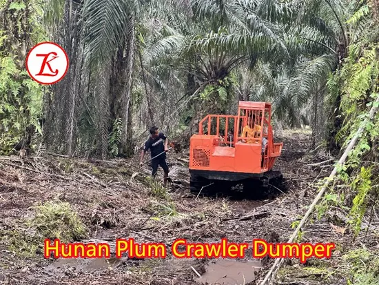 3500kg Mining Heavy Duty Machinery Diesel Engine Powered Hunan Plum Crawler Carrier 