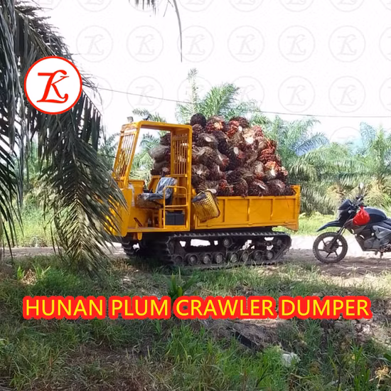 New Track Dumper 3.5ton Mini Dumper Rubber Crawler Tracked Dumper Carrier