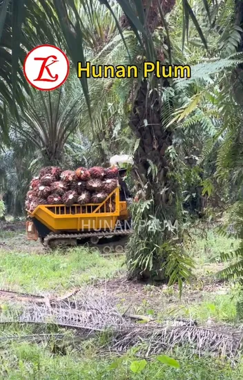 Hot Crawler Self Loading Mini Dumper Truck Price Crawler Carrier Diesel Oil Palm Farm Mini Dumper 2 Ton Crawler Carrier 